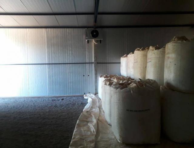 Climatização de Sementes em Apiacás MT