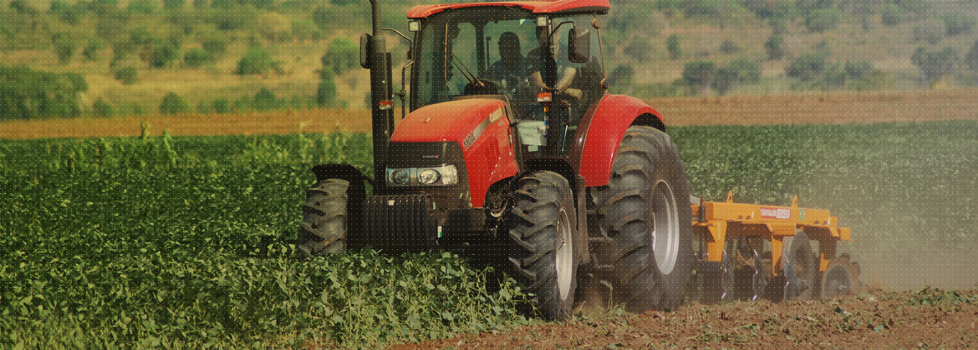 Ruralista Implementos Agrícolas em Nova Monte Verde